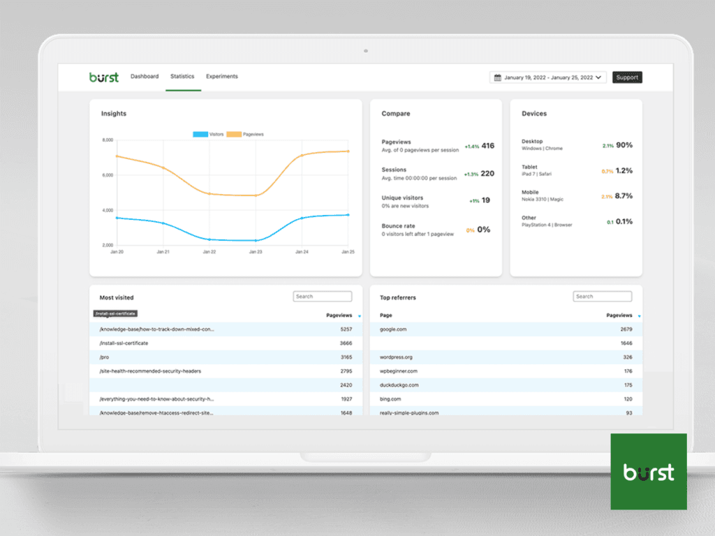Burst Statistics WordPress